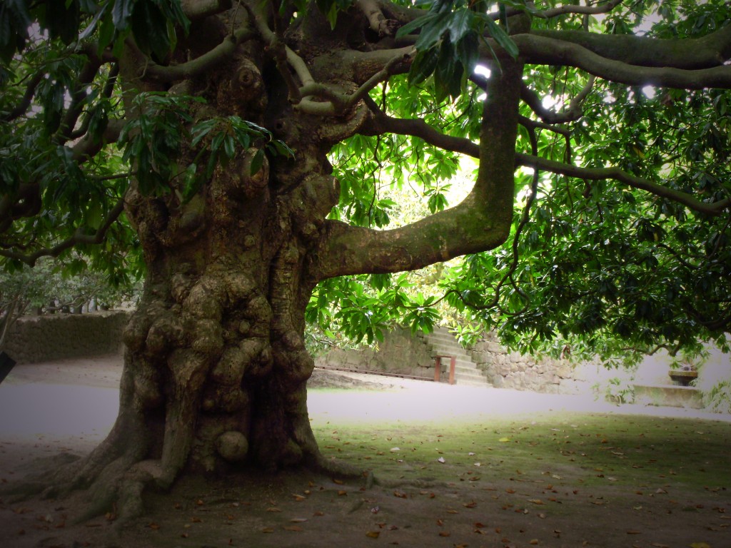 Foto: EL REPOSO DEL GUERRERO - Vigo (Pontevedra), España
