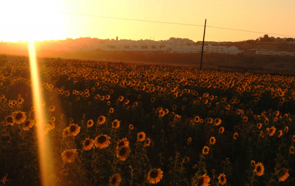Foto de Conil (Cádiz), España