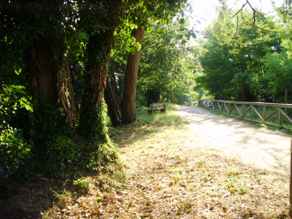 Foto: PARQUE LA CANUDA - Salvaterra De Miño (Pontevedra), España