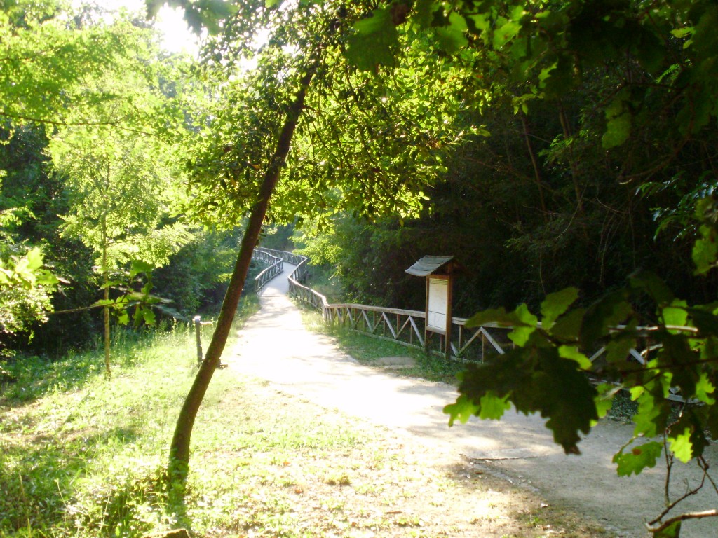 Foto: PARQUE LA CANUDA - Salvaterra De Miño (Pontevedra), España