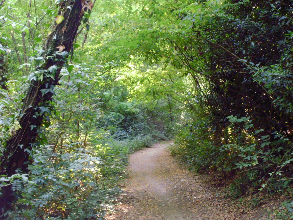 Foto: PARQUE LA CANUDA - Salvaterra De Miño (Pontevedra), España