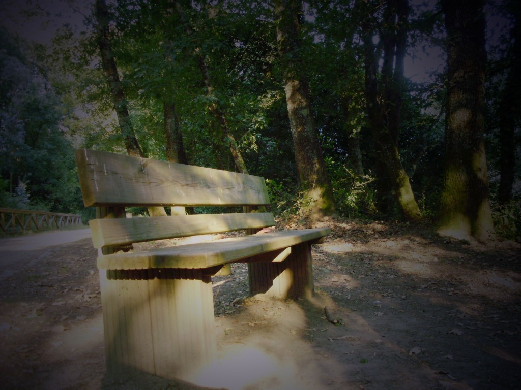 Foto: BANCO - Salvaterra De Miño (Pontevedra), España