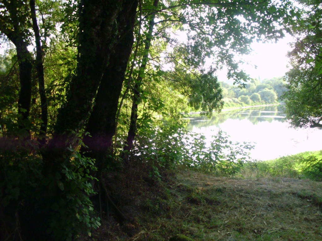 Foto: PARQUE LA CANUDA - Salvaterra De Miño (Pontevedra), España