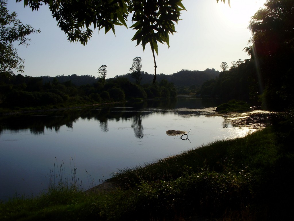 Foto: RIO MIÑO Y PARQUE  CANUDA - Salvaterra De Miño (Pontevedra), España