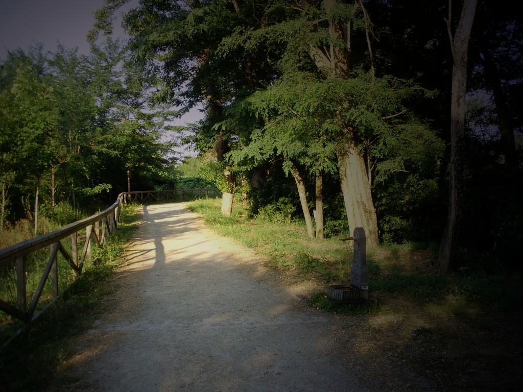 Foto: PARQUE LA CANUDA - Salvaterra De Miño (Pontevedra), España