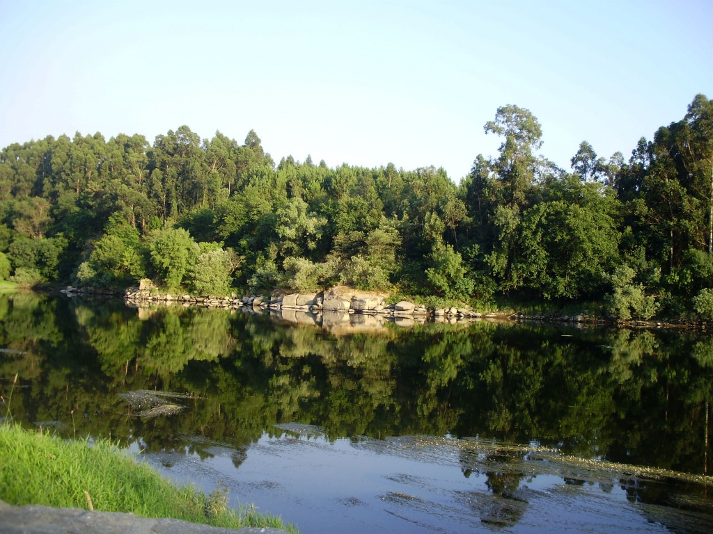 Foto: ESPEJOS EN EL RIO MIÑO - Salvaterra De Miño (Pontevedra), España