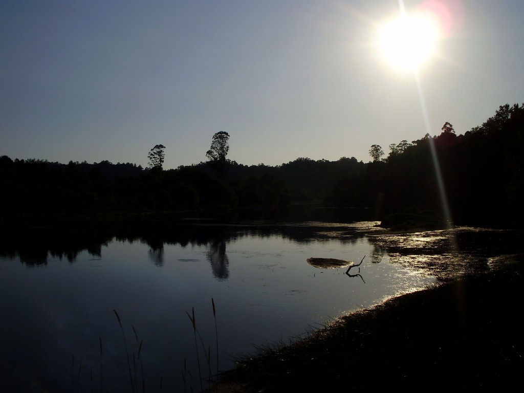 Foto: RIO MIÑOEN PARQUE LA CANUDA - Salvaterra De Miño (Pontevedra), España
