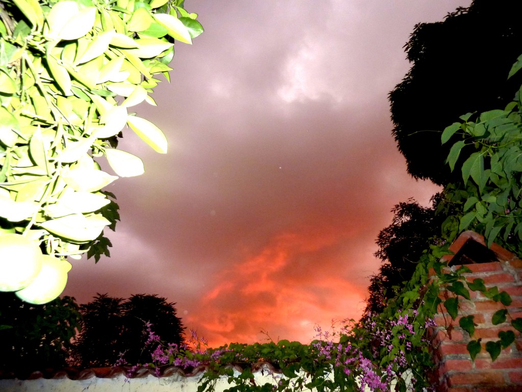 Foto: Amanecer - Tartagal (Salta), Argentina