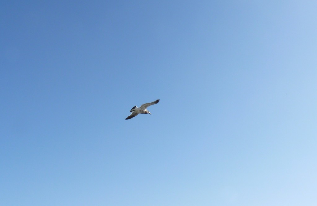 Foto: Puerto - Mar del Plata (Buenos Aires), Argentina