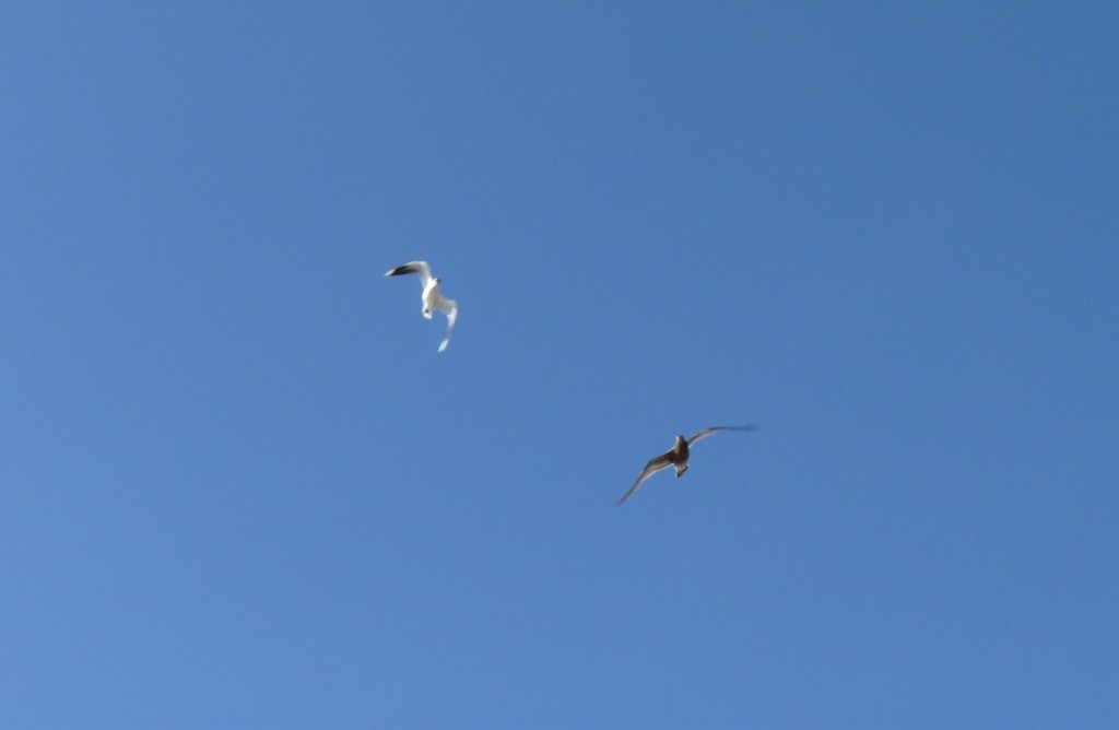 Foto: Puerto - Mar del Plata (Buenos Aires), Argentina