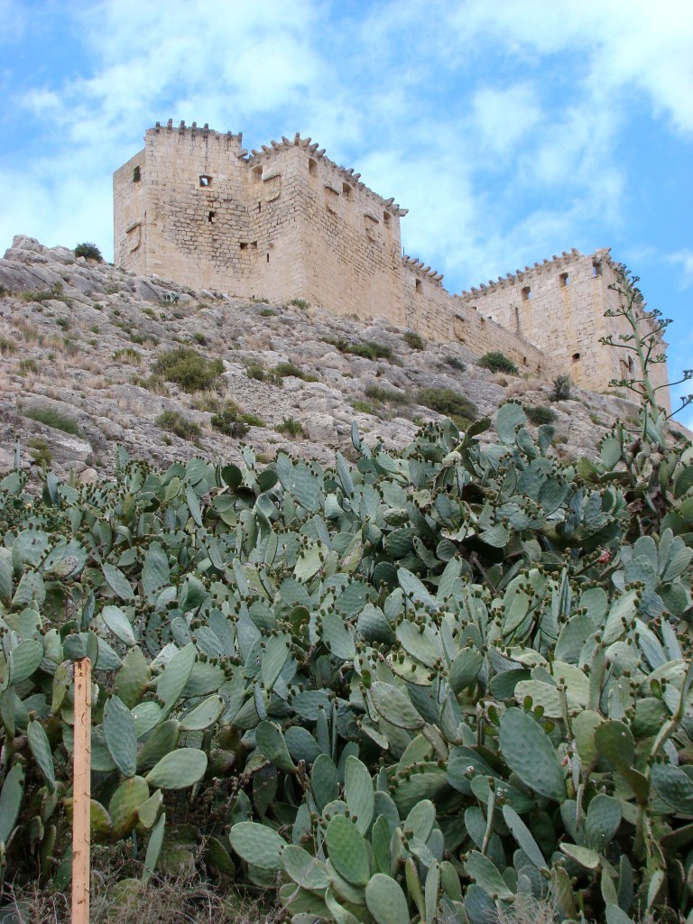 Foto de Mula (Murcia), España