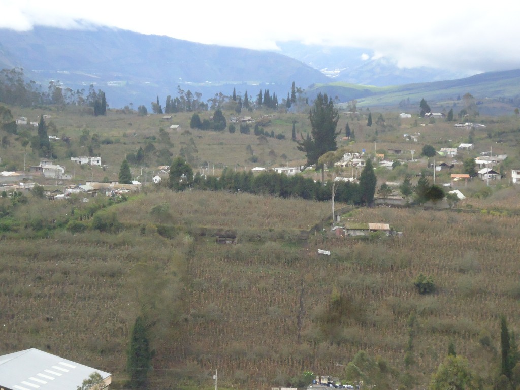 Foto: Chacra - Bayushig (Chimborazo), Ecuador