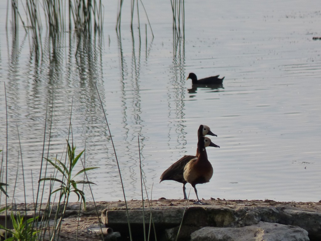 Foto de Laguna de los Padres (Buenos Aires), Argentina