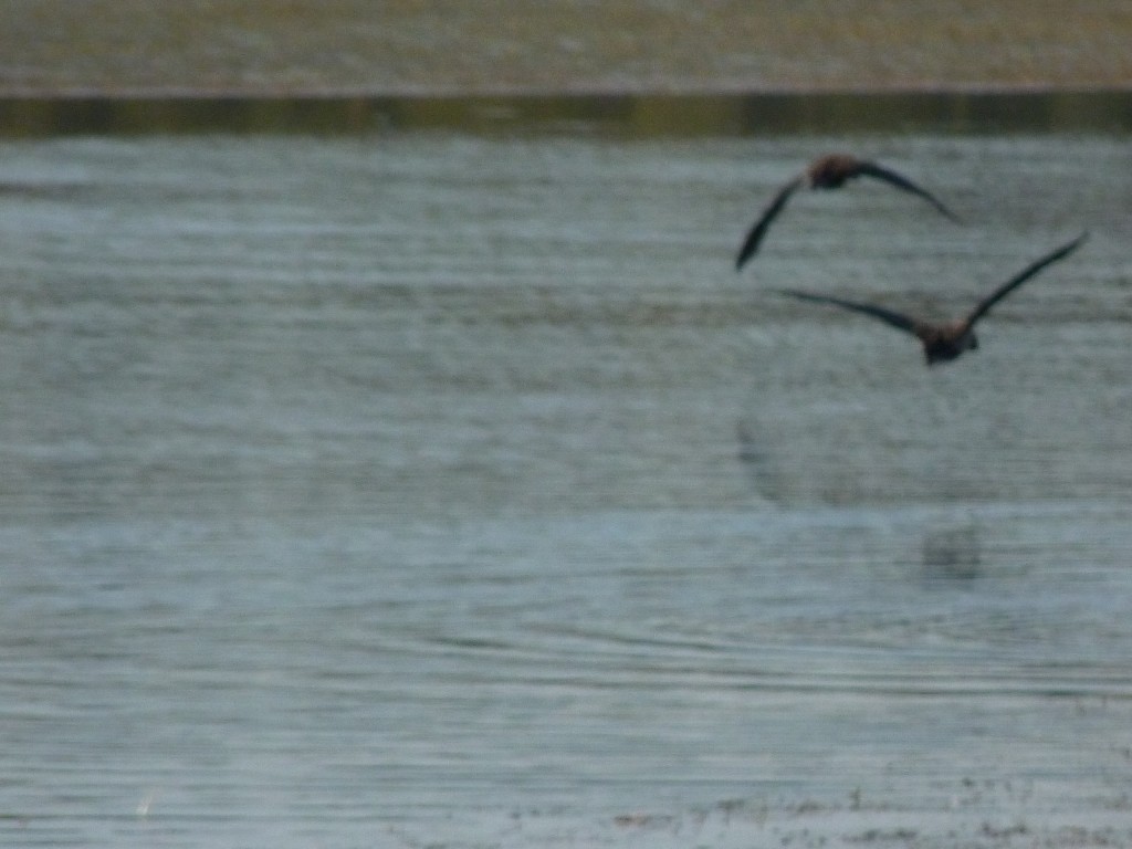 Foto de Laguna de los Padres (Buenos Aires), Argentina