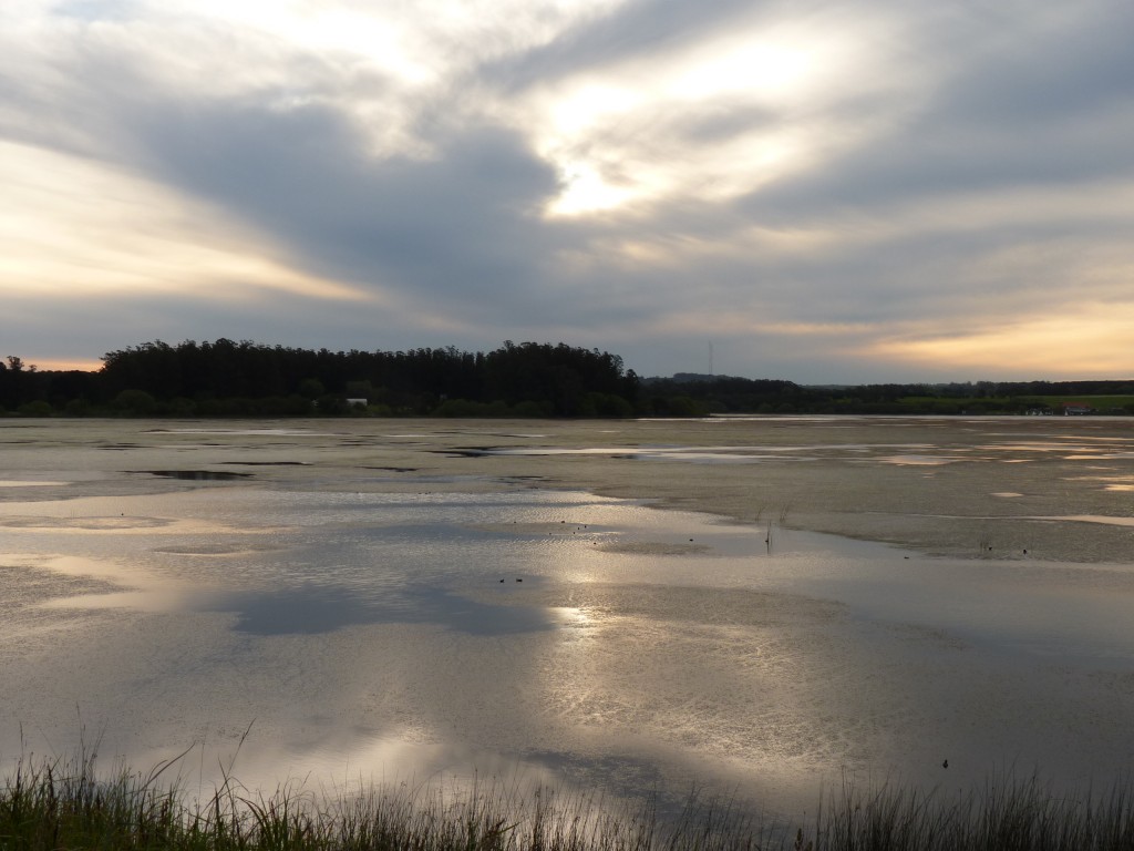 Foto de Laguna de los Padres (Buenos Aires), Argentina
