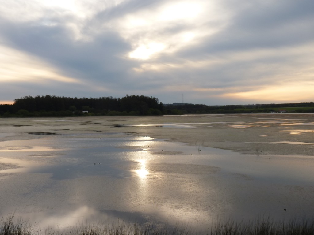 Foto de Laguna de los Padres (Buenos Aires), Argentina