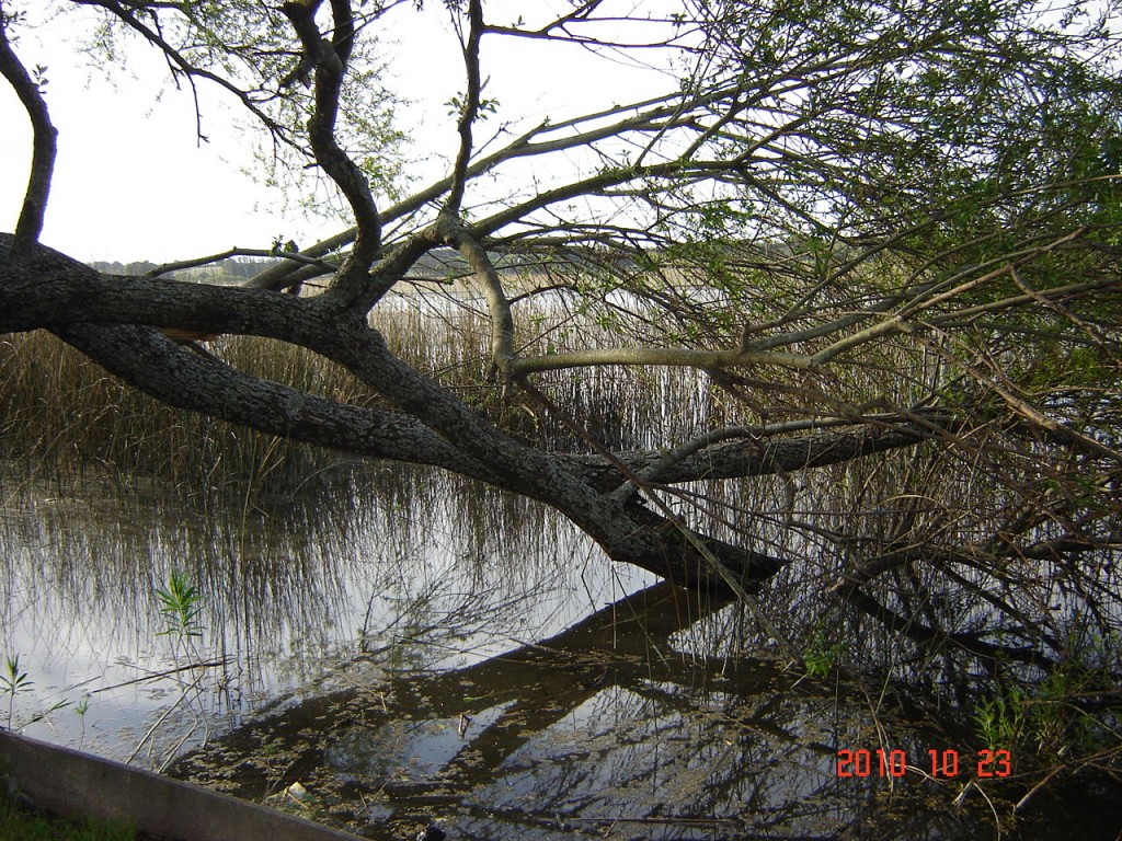 Foto de Laguna de los Padres (Buenos Aires), Argentina