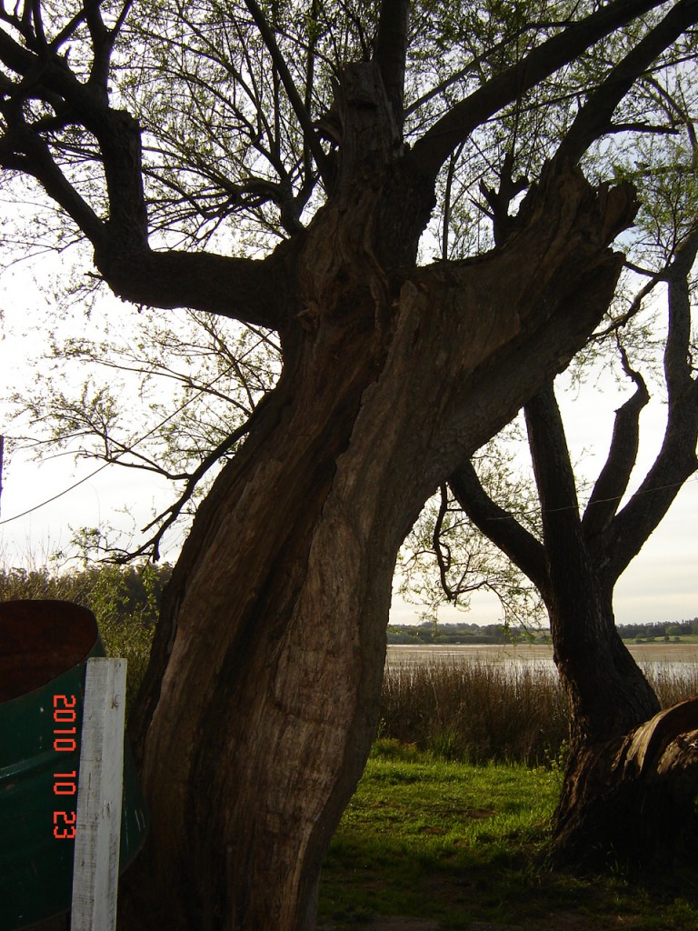 Foto de Laguna de los Padres (Buenos Aires), Argentina