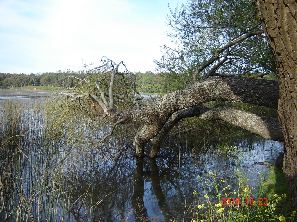 Foto de Laguna de los Padres (Buenos Aires), Argentina