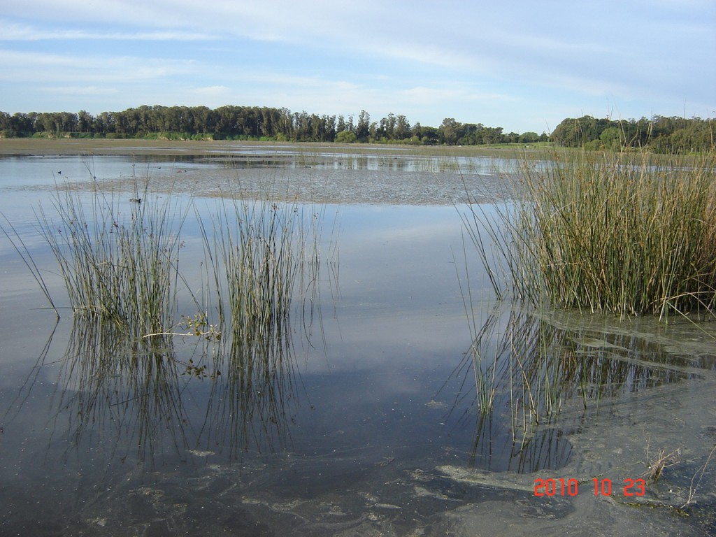 Foto de Laguna de los Padres (Buenos Aires), Argentina