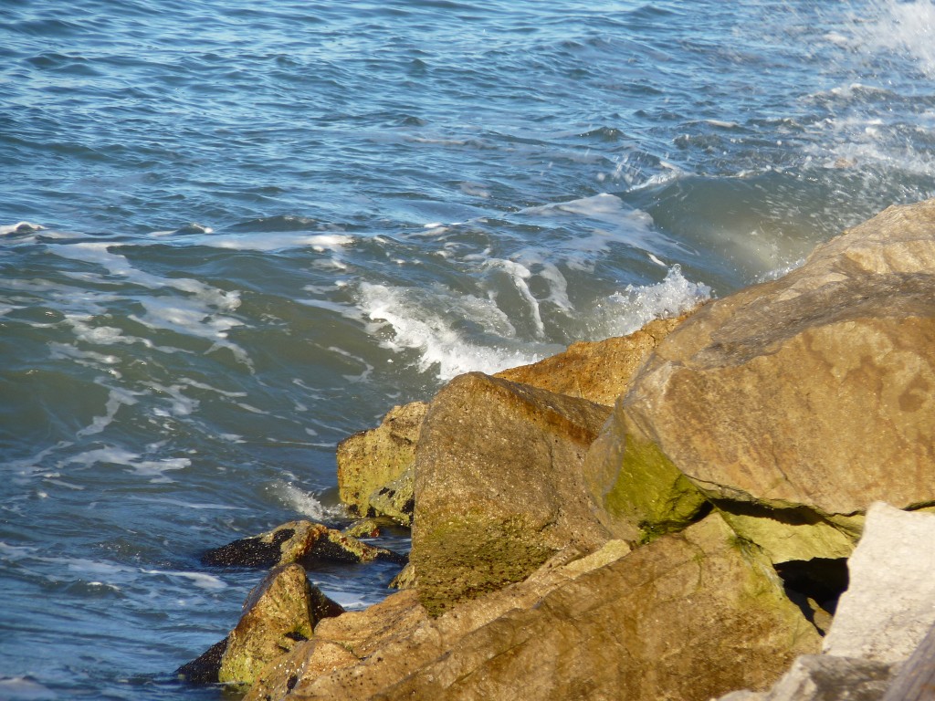 Foto de Mar del Plata (Buenos Aires), Argentina
