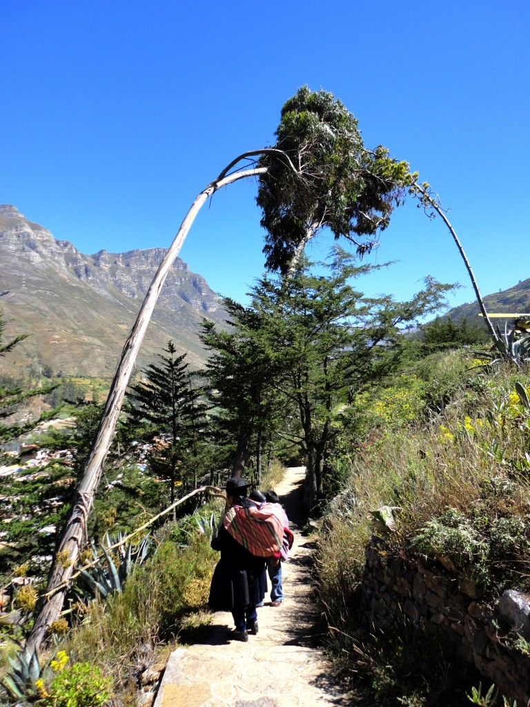 Foto: PAISAJE EN MURUHUAY - Tarma (Junín), Perú