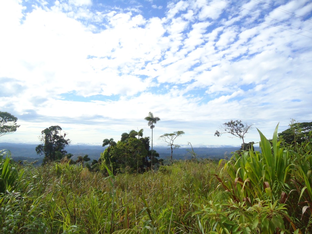 Foto: Paisaje - Simón Bilívar (Pastaza), Ecuador
