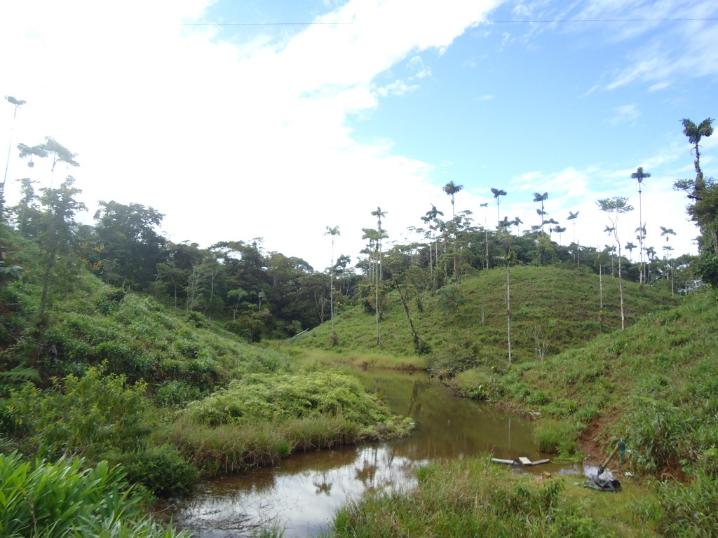 Foto: Paisaje - Simón Bilívar (Pastaza), Ecuador