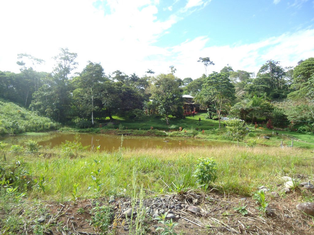 Foto: Paisaje - Simón Bilívar (Pastaza), Ecuador