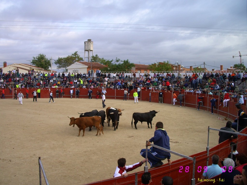 Foto: Los Encierros - Portillo de Toledo (Toledo), España