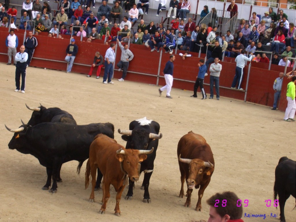 Foto: Los Encierros - Portillo de Toledo (Toledo), España