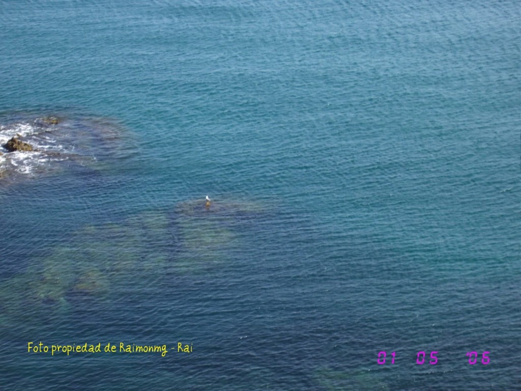Foto: Cabo de Gata - Cabo de Gata (Almería), España