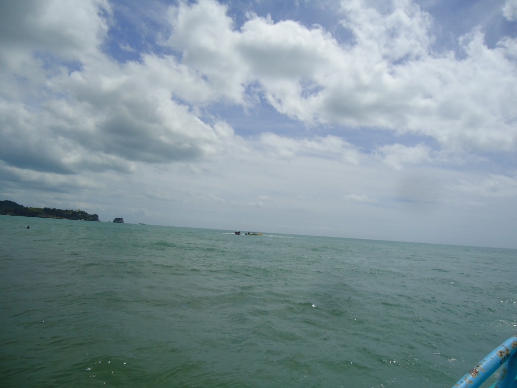 Foto: Paisaje de la costa - Atacames (Esmeraldas), Ecuador