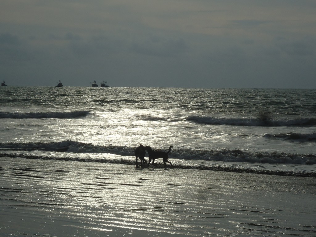 Foto: Un atardecer - Atacames (Esmeraldas), Ecuador