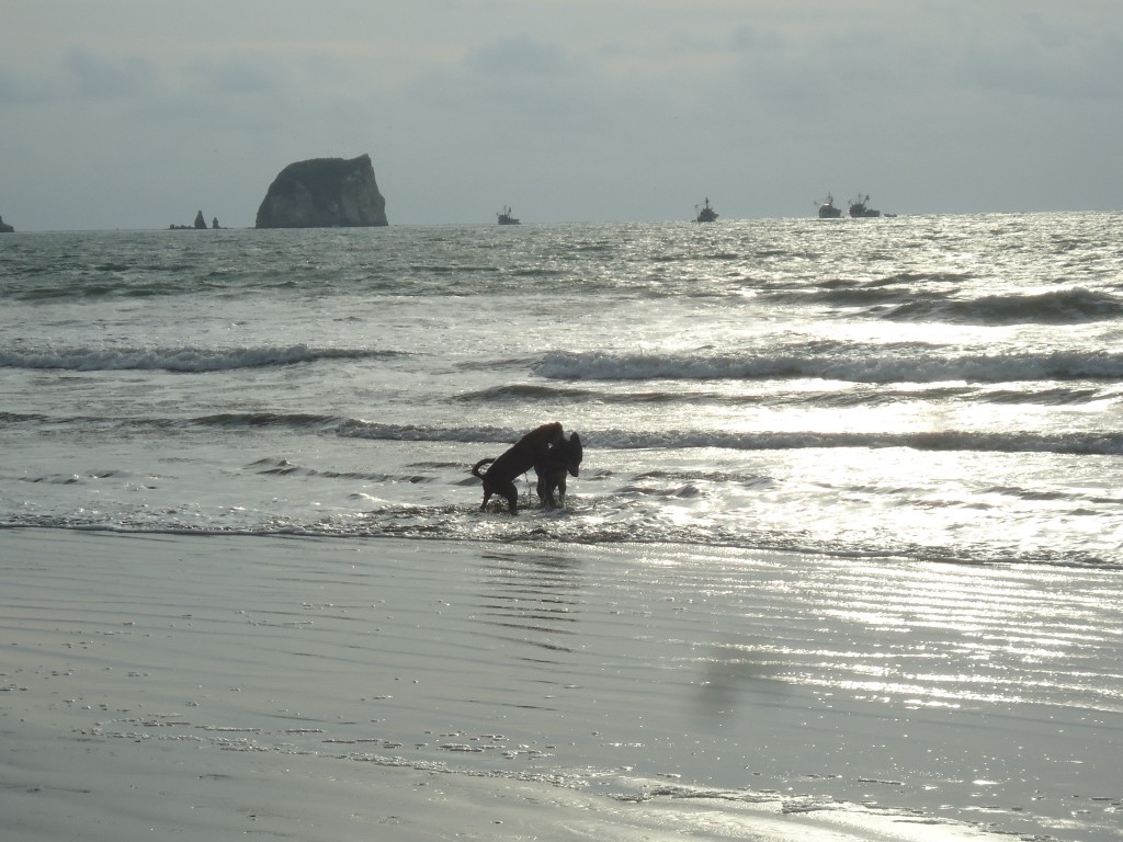 Foto: Un atardecer - Atacames (Esmeraldas), Ecuador