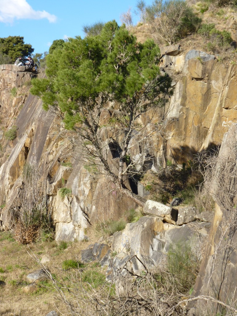 Foto: Parque El Triunfo - Balcarce (Buenos Aires), Argentina