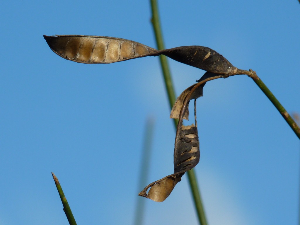 Foto de Balcarce (Buenos Aires), Argentina