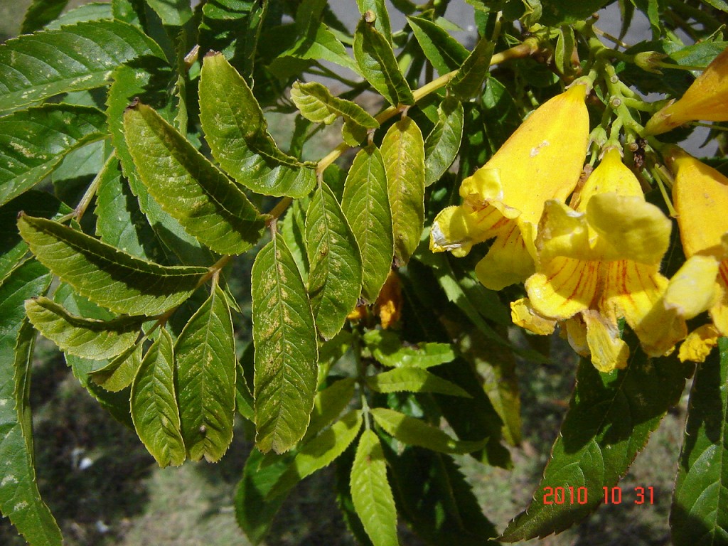 Foto de Ciudad de Buenos Aires (Buenos Aires), Argentina