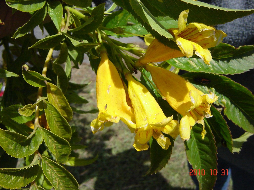 Foto de Ciudad de Buenos Aires (Buenos Aires), Argentina