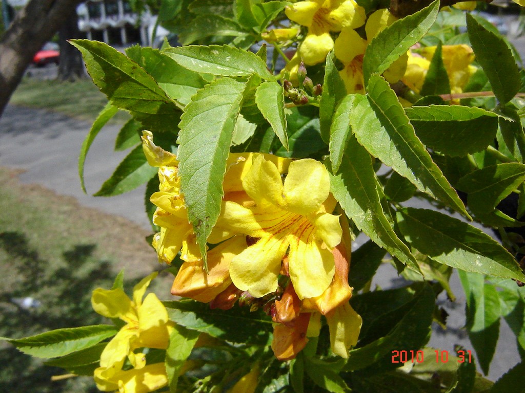 Foto de Ciudad de Buenos Aires (Buenos Aires), Argentina