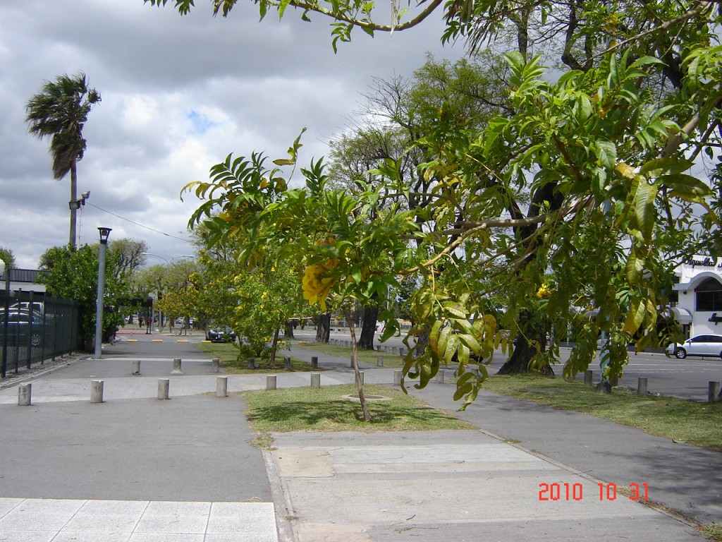 Foto: Costanera - Ciudad de Buenos Aires (Buenos Aires), Argentina