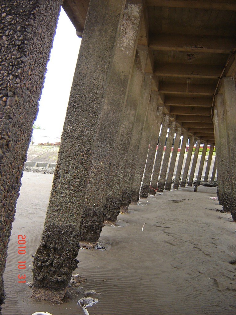 Foto: Río de la Plata - Ciudad de Buenos Aires (Buenos Aires), Argentina