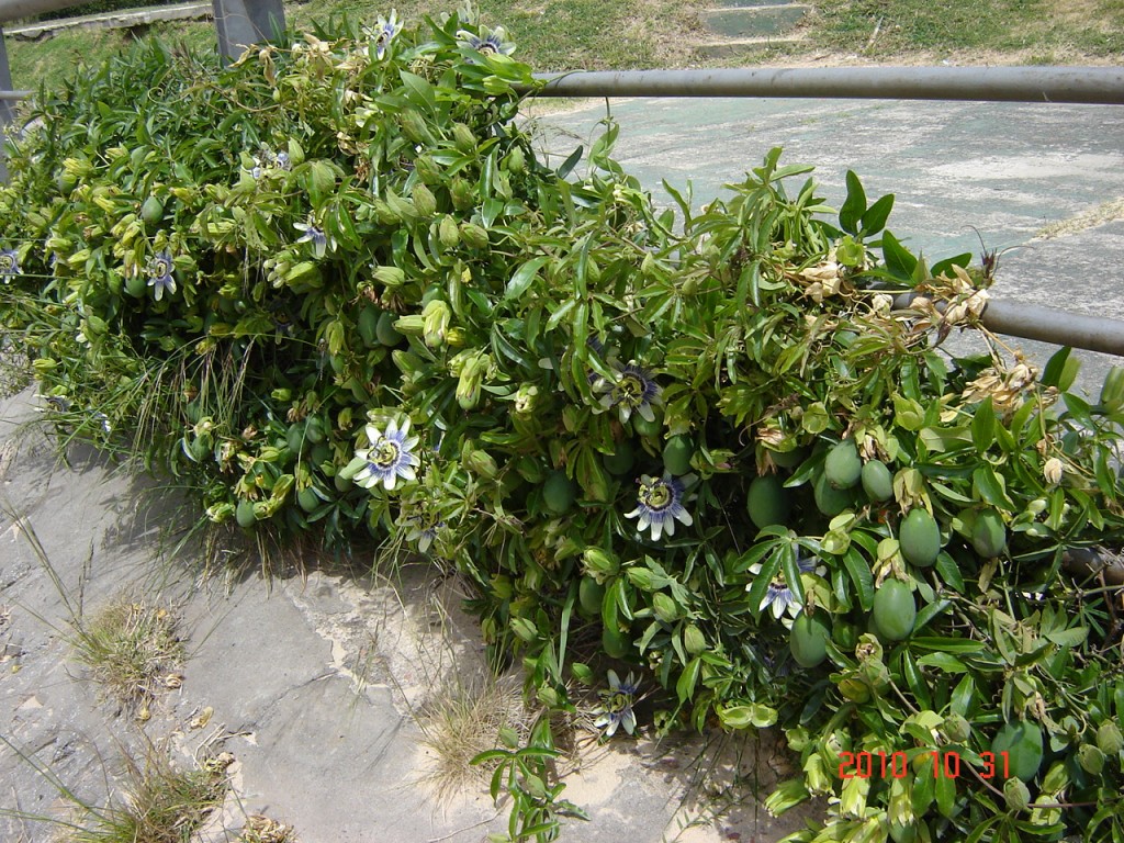 Foto de Ciudad de Buenos Aires (Buenos Aires), Argentina