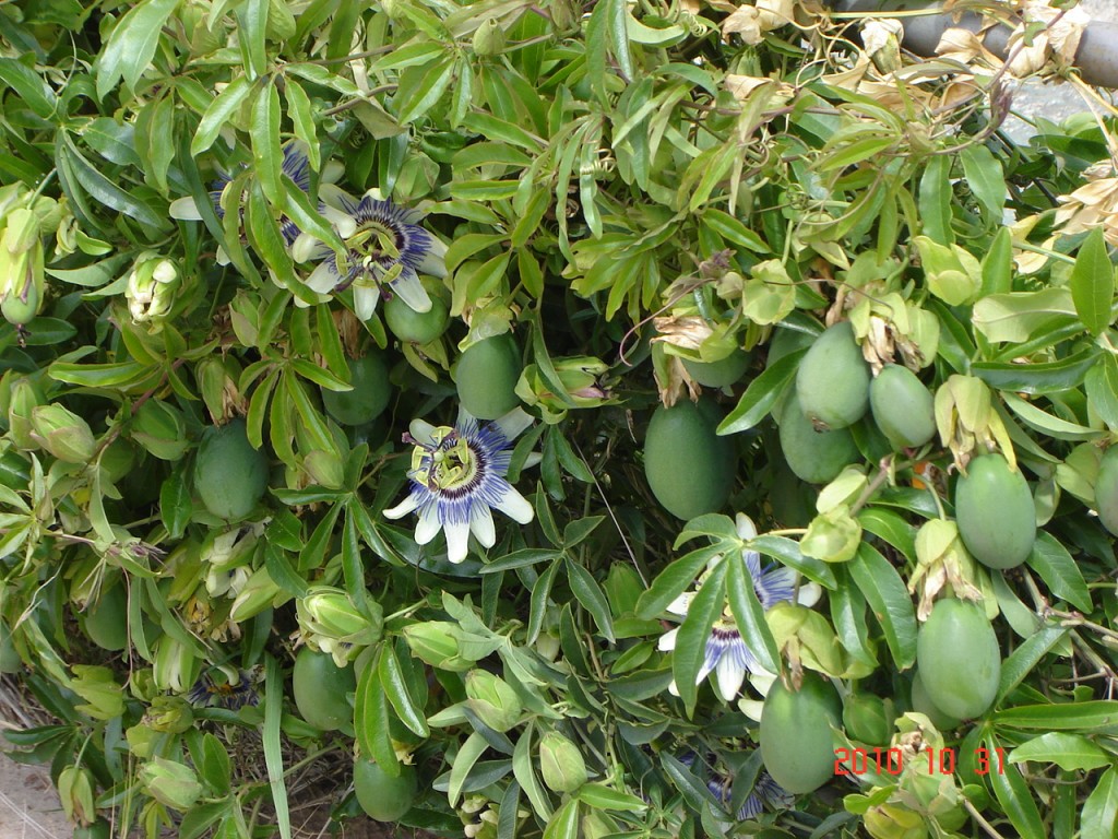 Foto de Ciudad de Buenos Aires (Buenos Aires), Argentina