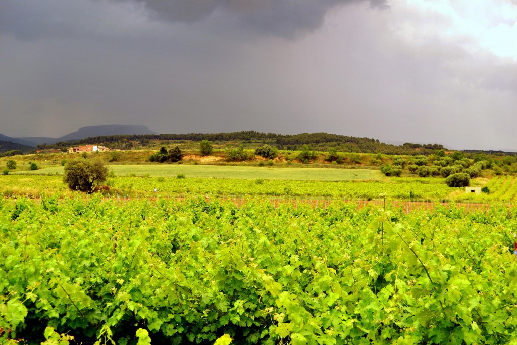 Foto: Tempestad de Primavera - Sant Martí SArroca (Barcelona), España