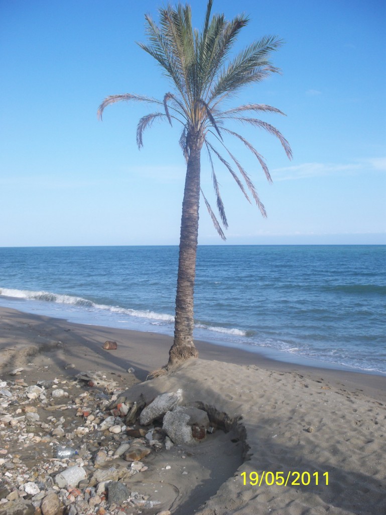 Foto: Esto también es Marbella - Marbella (Málaga), España