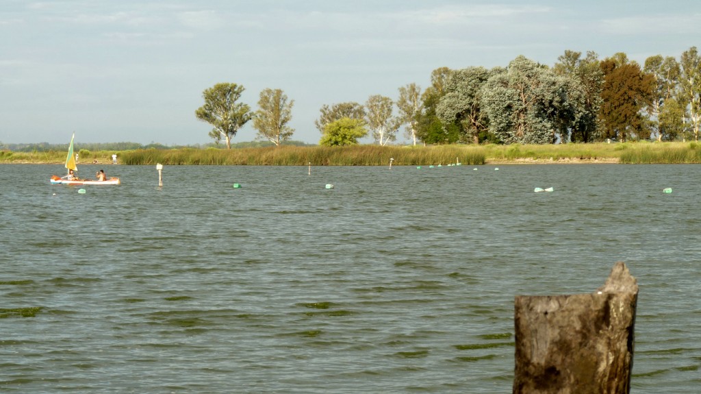 Foto: Laguna de Lobos - Lobos (Buenos Aires), Argentina