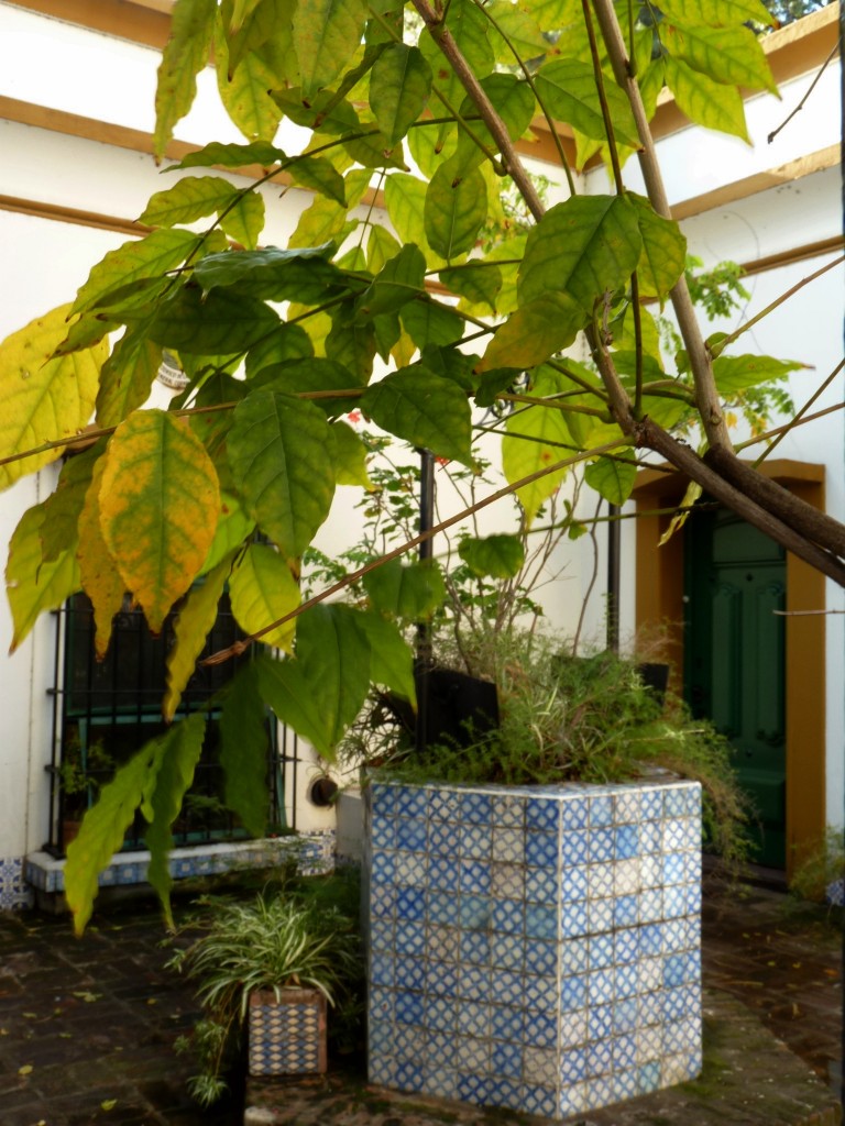 Foto: Museo Saavedra - Ciudad de Buenos Aires (Buenos Aires), Argentina