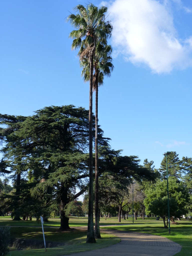 Foto: Parque Gral.  Paz - Ciudad de Buenos Aires (Buenos Aires), Argentina