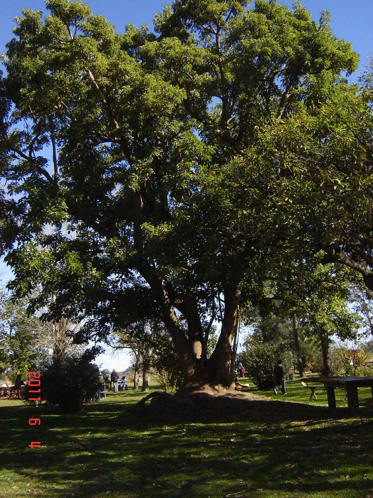Foto: Casa de campo - Tomás Jofré (Buenos Aires), Argentina